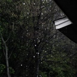 Rain drops falling from trees and roof.