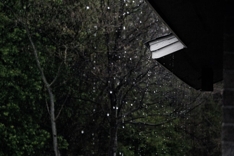 Rain drops falling from trees and roof.