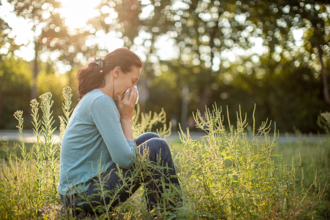 Woman with allergies sitting amidst ragweed pollen.