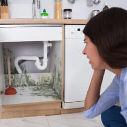 Woman Looking At Mold In Cabinet Area